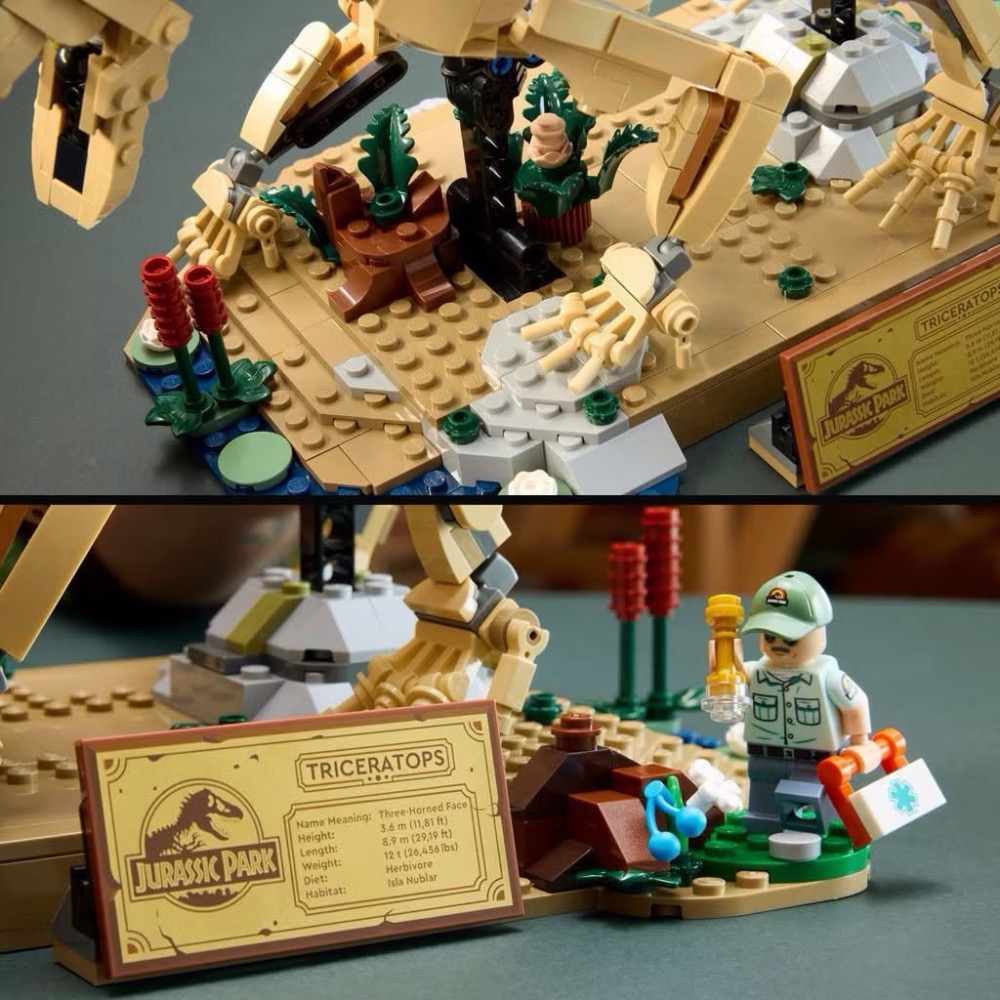 【高雄∣阿育樂高】LEGO 77985 恐龍化石：三角龍 侏羅紀公園 系列-細節圖3