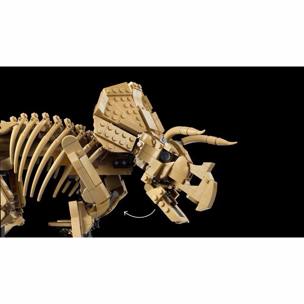 【高雄∣阿育樂高】LEGO 77985 恐龍化石：三角龍 侏羅紀公園 系列-細節圖4