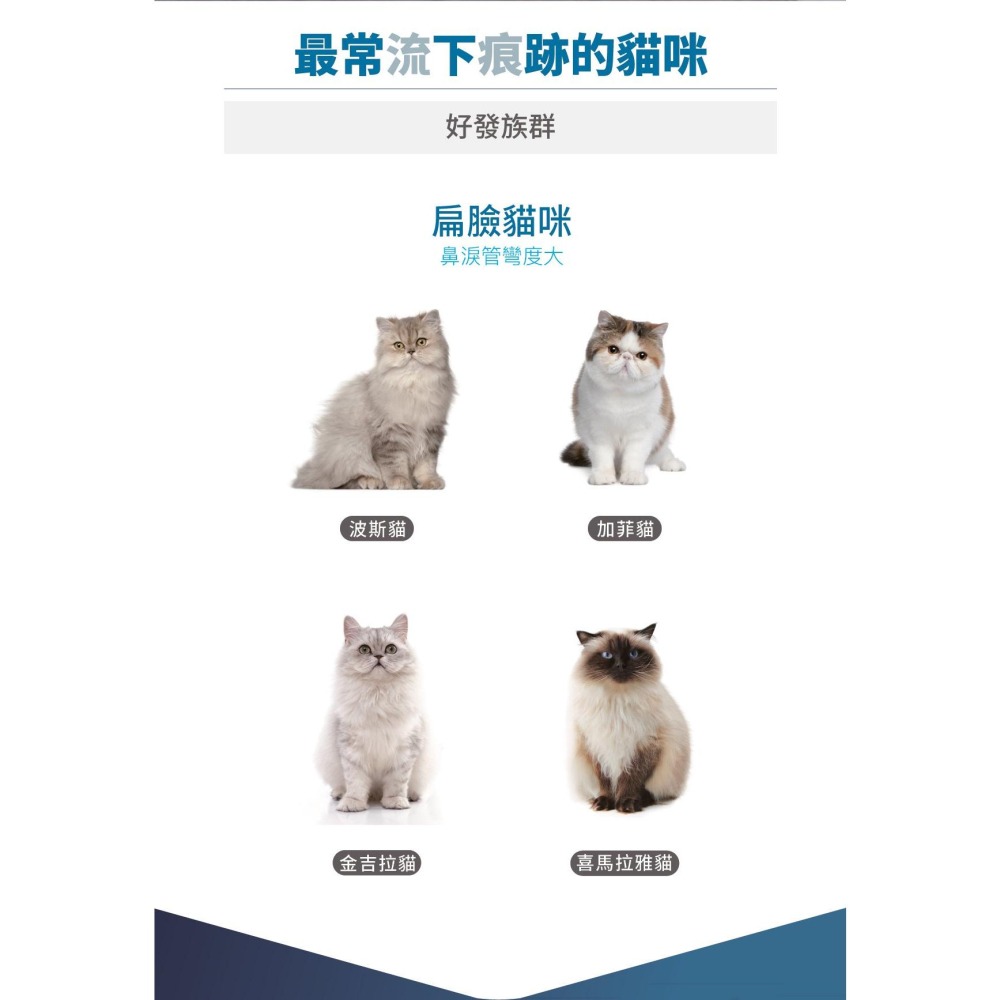 木入森 貓咪痕淨白 (60顆/30顆) 盒裝 買就送魚油粉一包-細節圖2