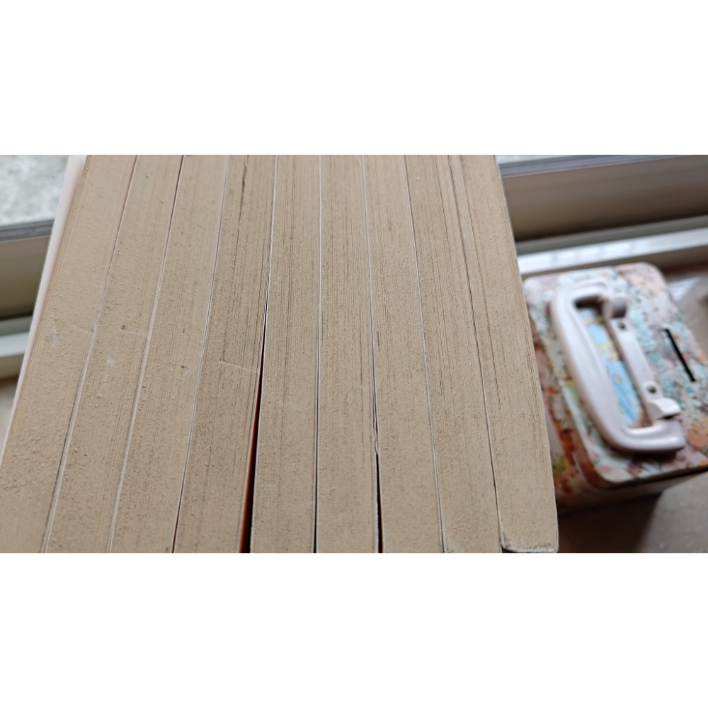 漫畫台灣史-細節圖2