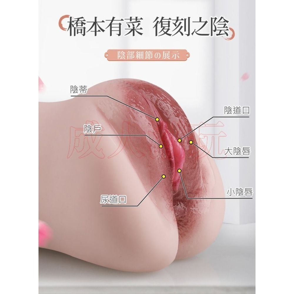 【24H全日出貨】一比一逼真私處 橋本有菜印象東京 仿真名器 真實通道 新有菜-細節圖2