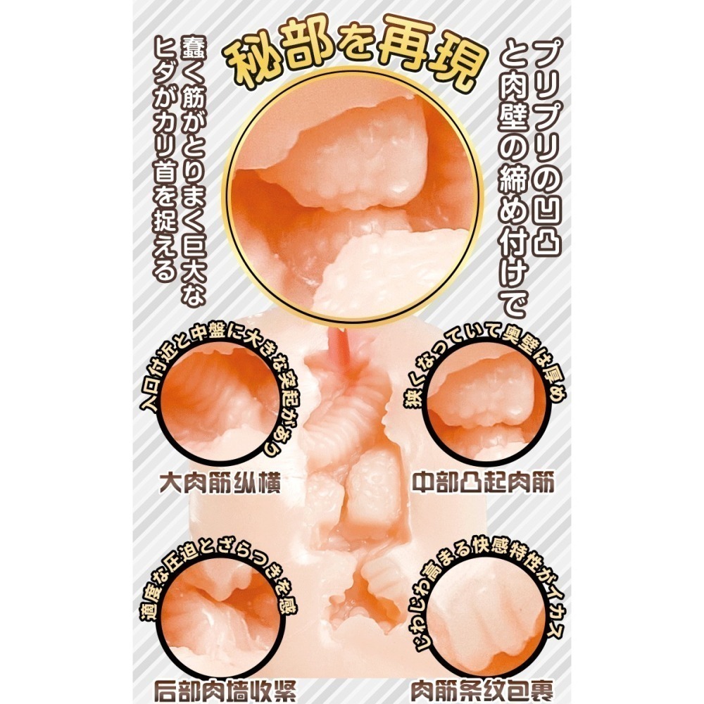 【24H全日出貨】日本安齋拉拉 仿真柔嫩刺激通道 龜頭刺激 情趣自慰蛋 AV女優 自慰器飛機杯-細節圖6