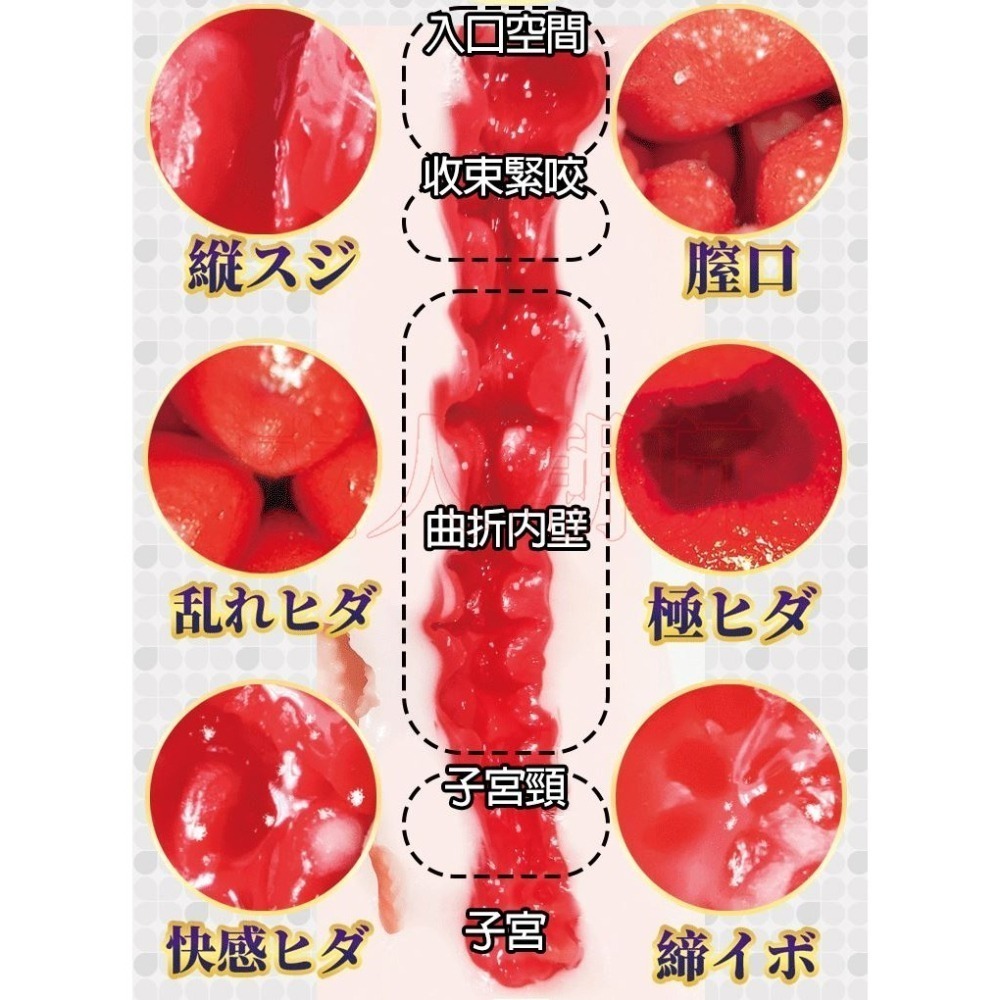 【24H全日出貨】逼真私處陰道 刺激通道 日本FM Julia 女優名器 S級名器-細節圖6