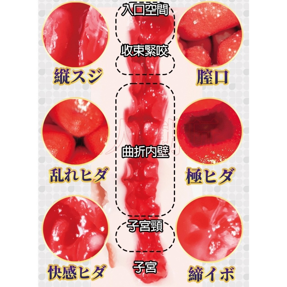 【24H全日出貨】 S級名器 Julia 真實1:1女優名器 女優飛機杯 雙穴名器-細節圖4