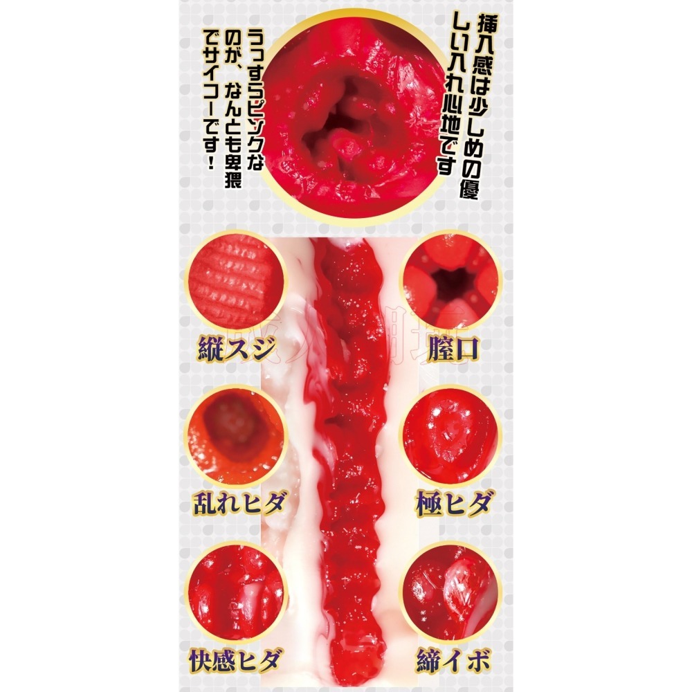 【24H全日出貨】 S級名器 安齋拉拉 真實1:1女優名器 女優飛機杯 雙穴名器-細節圖4