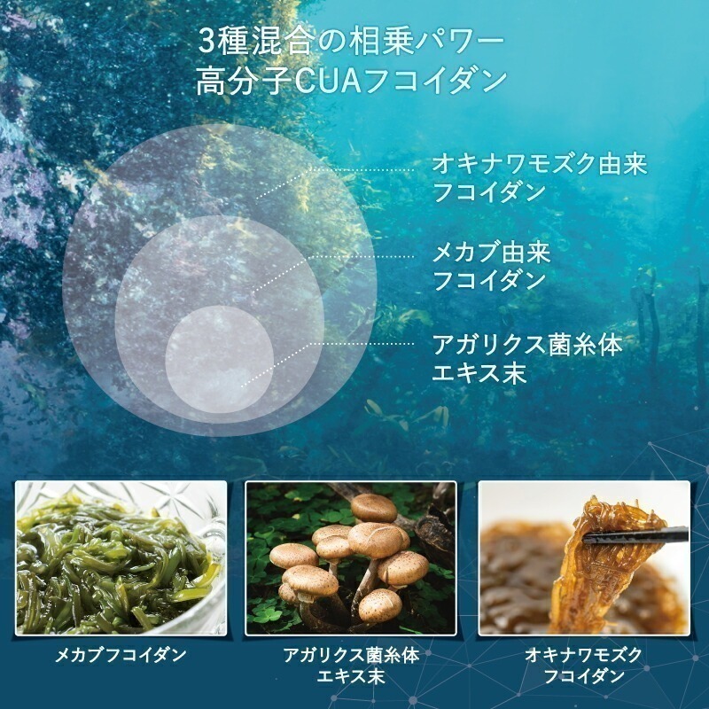 附發票 有中文標 滿點吐息 30粒 優格味 使口氣芬芳 日本原廠供貨正品-細節圖6