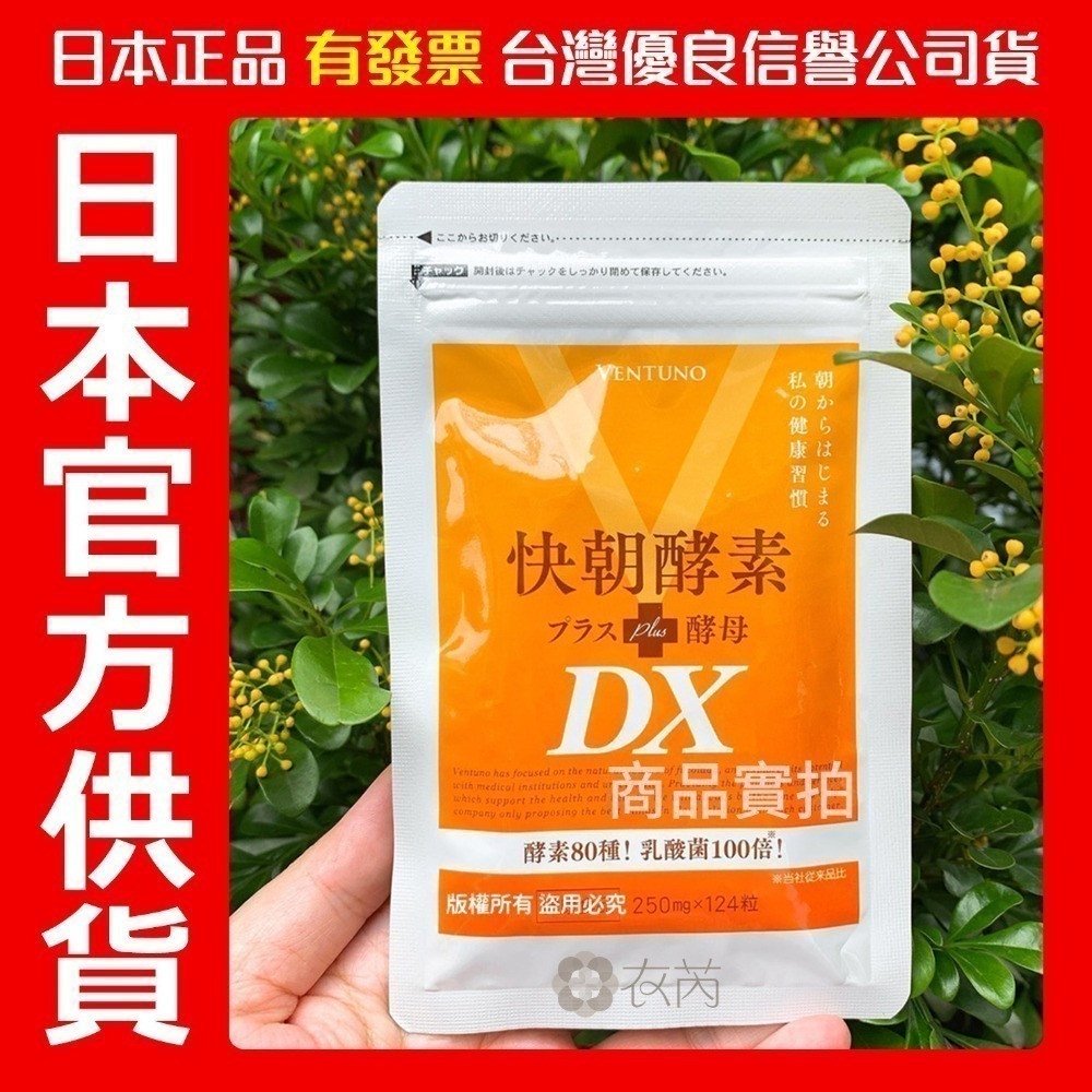 附發票 有中文標 快朝酵素 DX 124粒 日本正品 原廠供貨 快朝 PLUS酵母-細節圖2