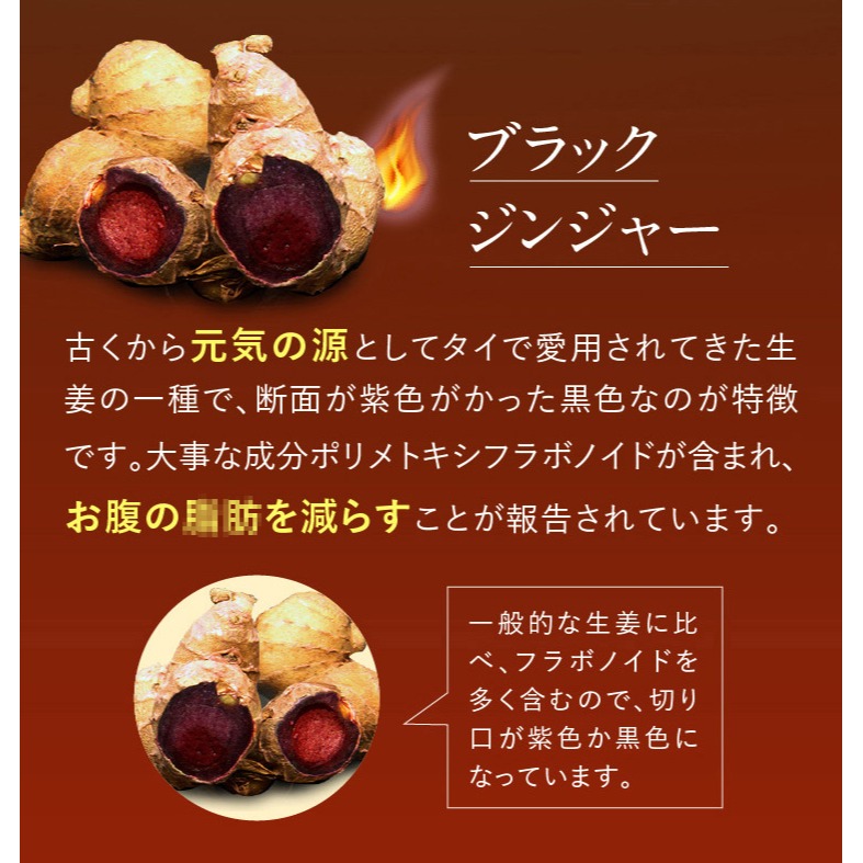 日本 Taisya 泰夏熱燃膠囊 90粒 調整體質 促進新陳代謝 效期2026.10 日本Ventuno原廠供貨正品-細節圖4
