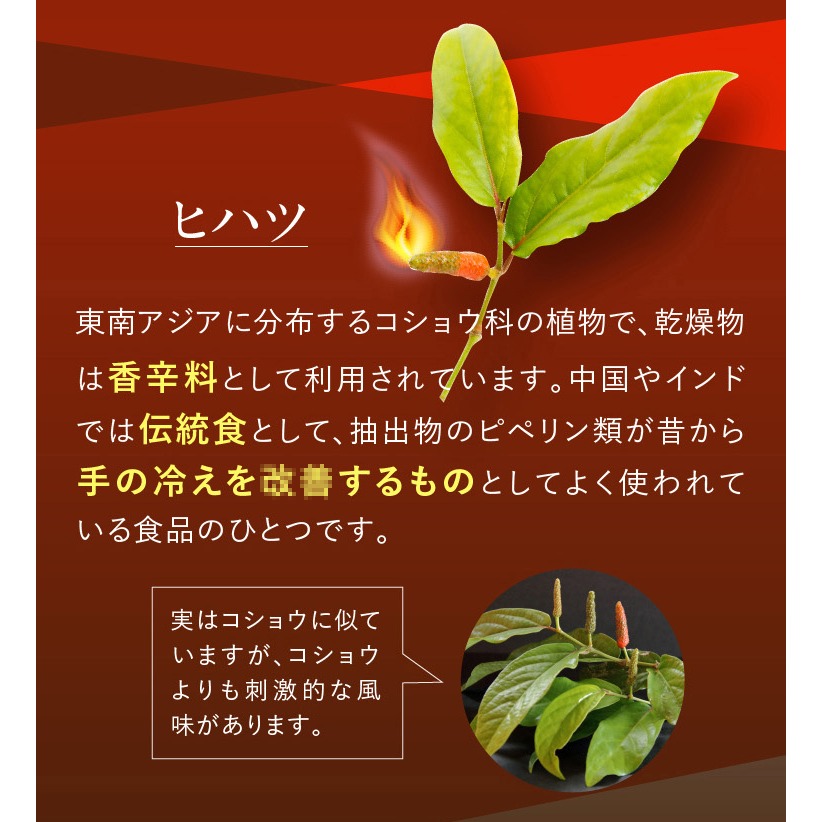 日本 Taisya 泰夏熱燃膠囊 90粒 調整體質 促進新陳代謝 效期2026.10 日本Ventuno原廠供貨正品-細節圖5