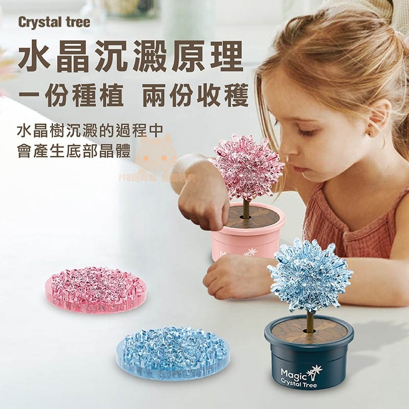 水晶種植 水晶樹種植 水晶樹 種植水晶 商檢合格 自然實驗 科學DIY 🔥台灣現貨🔥 198玩具城 W1307-細節圖4