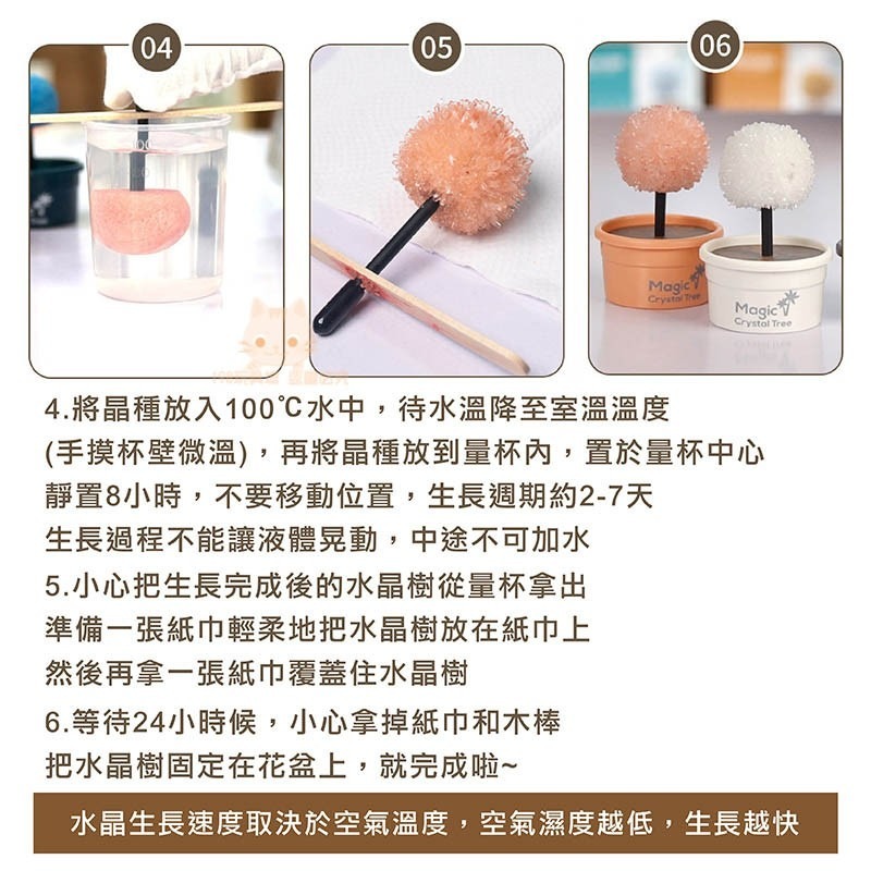 水晶種植 水晶樹種植 水晶樹 種植水晶 商檢合格 自然實驗 科學DIY 🔥台灣現貨🔥 198玩具城 W1307-細節圖9