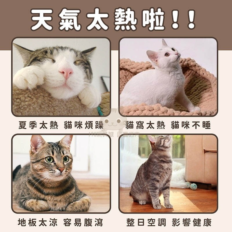 貓鍋 涼爽貓鍋 貓咪睡墊 特價貓窩 貓鍋 純鋁涼墊 涼板 不鏽鋼貓鍋 🔥台灣現貨🔥 😽198玩具城😽 W224-細節圖5