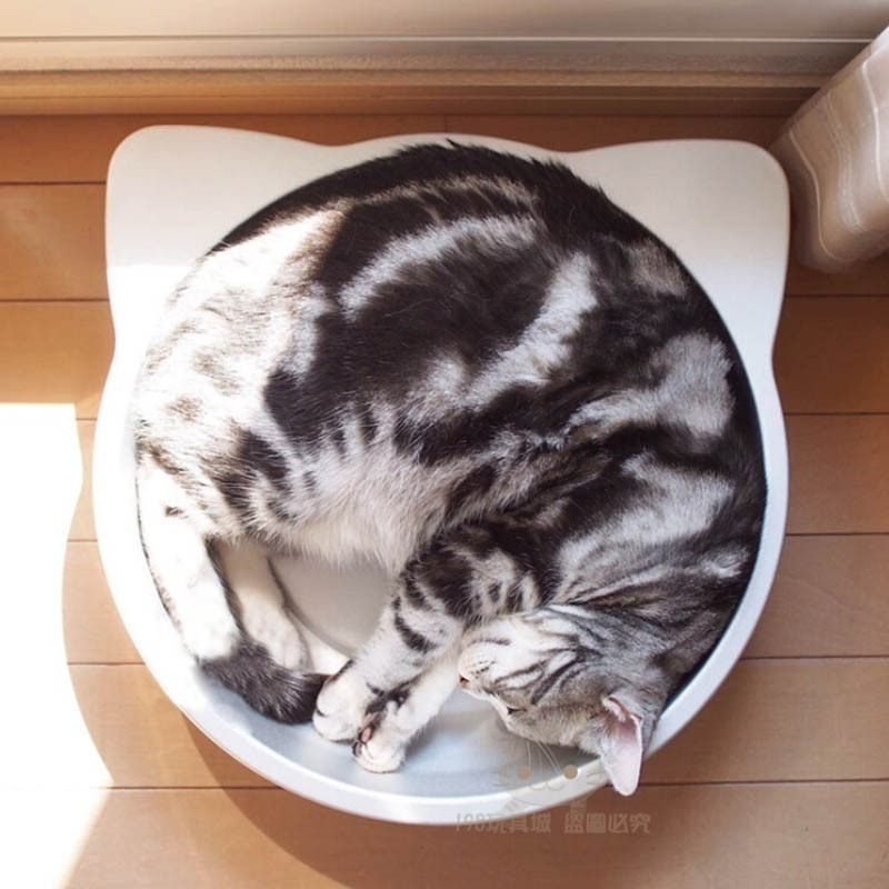 貓鍋 涼爽貓鍋 貓咪睡墊 特價貓窩 貓鍋 純鋁涼墊 涼板 不鏽鋼貓鍋 🔥台灣現貨🔥 😽198玩具城😽 W224-細節圖9