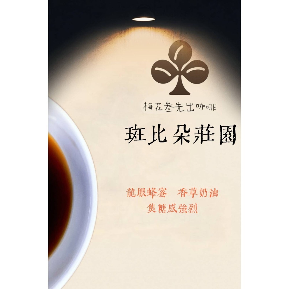 巴拿馬 斑比朵莊園咖啡-★特等批次★-【淺中焙】-細節圖2