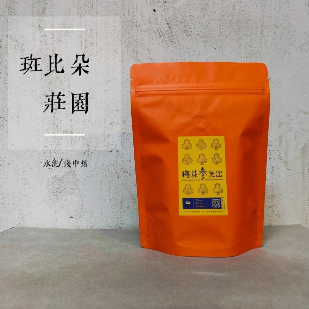 巴拿馬 斑比朵莊園咖啡-★特等批次★-【淺中焙】-細節圖3