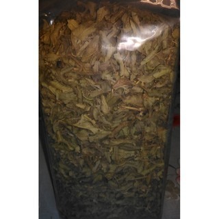 香芭樂心葉茶 茶葉包裝 特價每盒620元 一次最多購買6盒-細節圖4