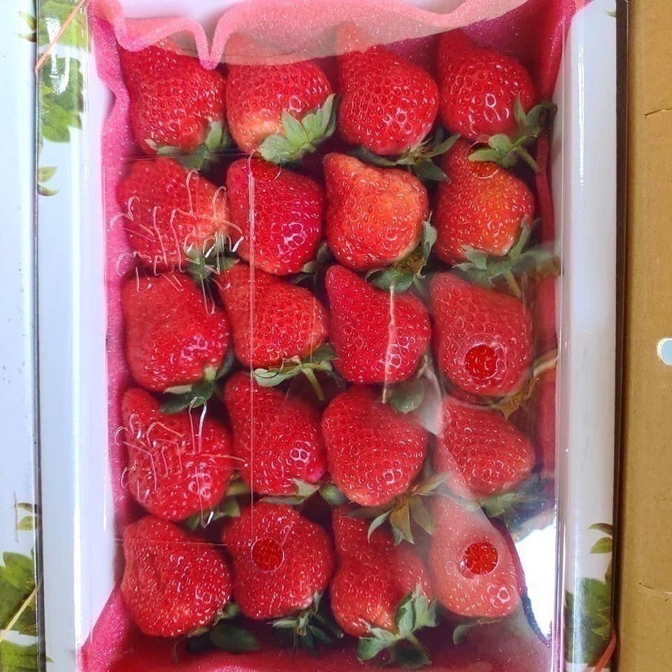 🍓小農自產自銷 產地直出🍓大湖草莓 美姬草莓 2.5斤 草莓 馬拉邦草莓 高山草莓 年節禮盒 小農自產自銷 田園日記-細節圖2