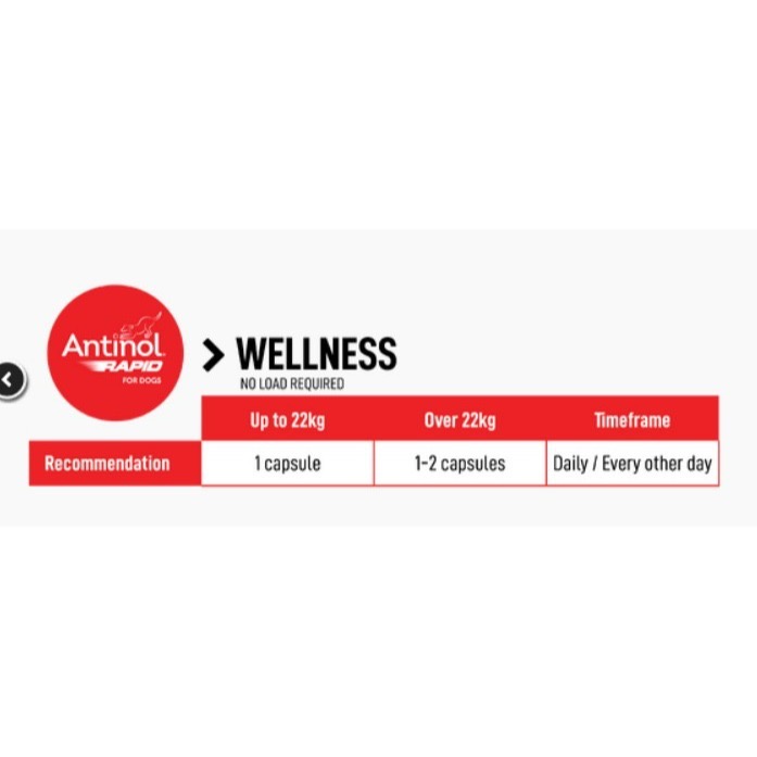 <現貨>效期2027/09 澳洲版 安適得 Antinol 720顆 新版-細節圖4