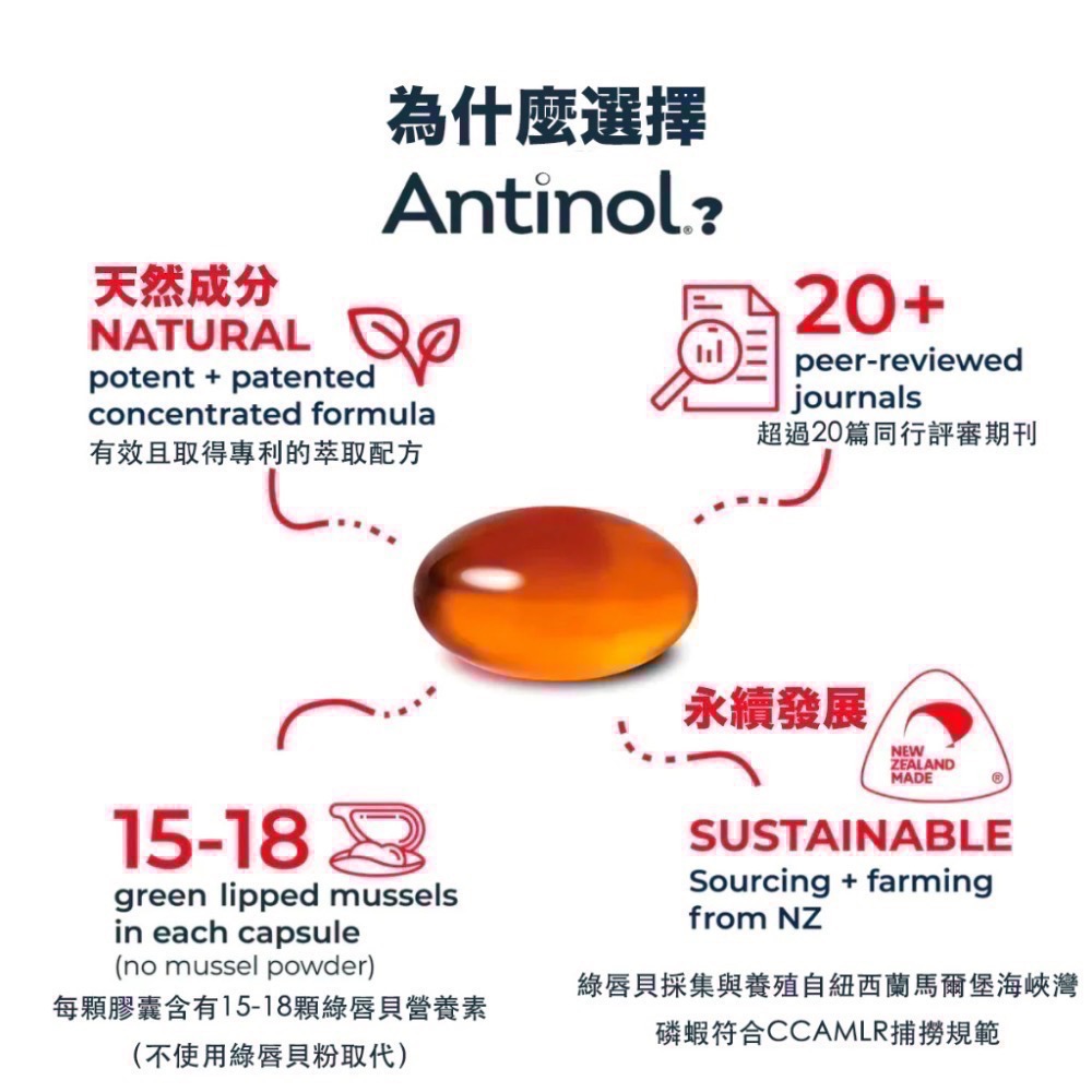 <現貨>效期2028/11 澳洲版 安適得 Antinol 720顆 新版-細節圖2