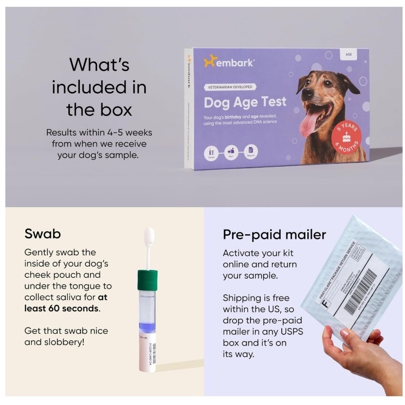 美國embark DNA檢測 狗狗基因檢測 健康檢測 品種檢測 年齡檢測 dog agetest genetest-細節圖2