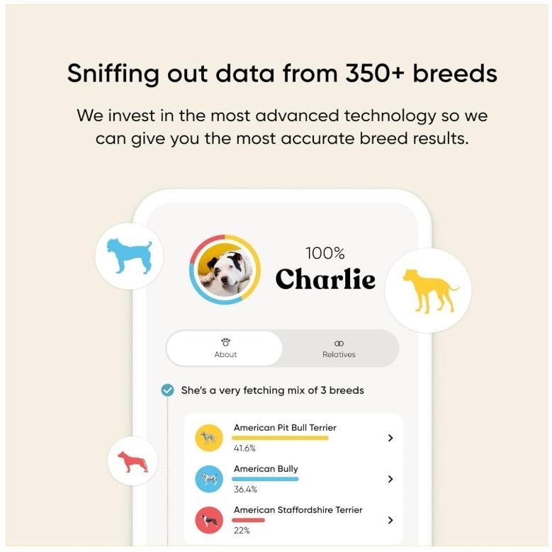 美國embark DNA檢測 狗狗基因檢測 健康檢測 品種檢測 年齡檢測 dog agetest genetest-細節圖3