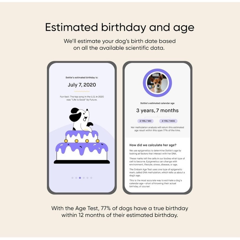 美國embark DNA檢測 狗狗基因檢測 健康檢測 品種檢測 年齡檢測 dog agetest genetest-細節圖5