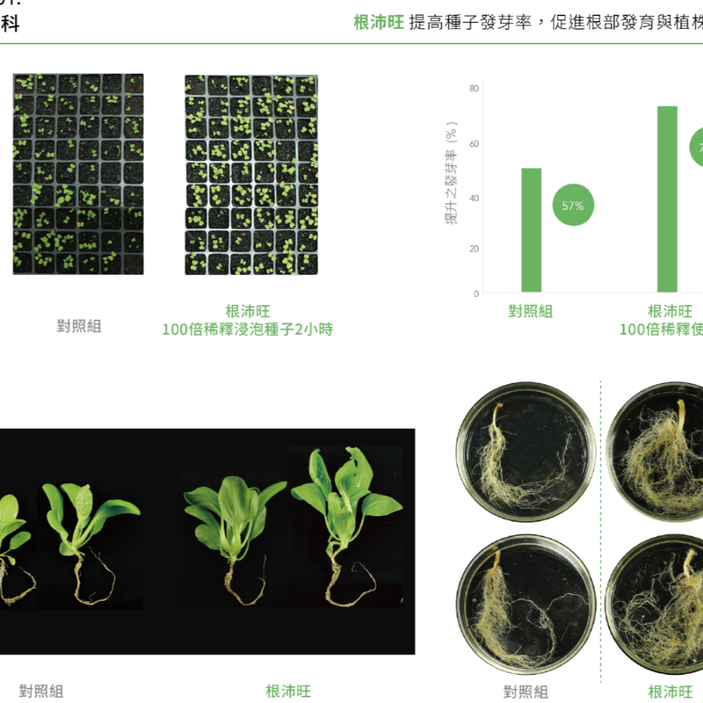 [Bingo賓購] 博堯生技-根沛旺-植物-液態有機質肥料-促進植物開根-1L國產微生物肥料品牌推薦-有機質肥料-細節圖2