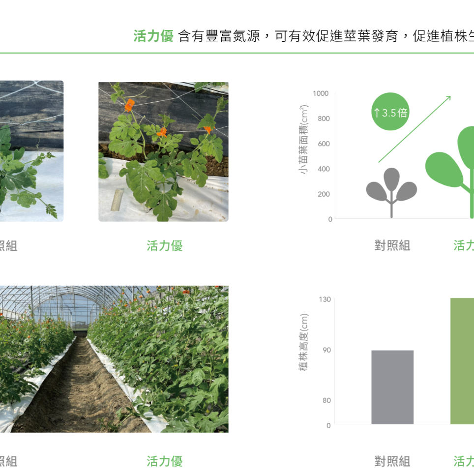 [Bingo賓購] 博堯生技-活力優-植物-液態有機質肥料-強根莖葉生長-1L國產微生物肥料品牌-推薦有機質肥料-細節圖2