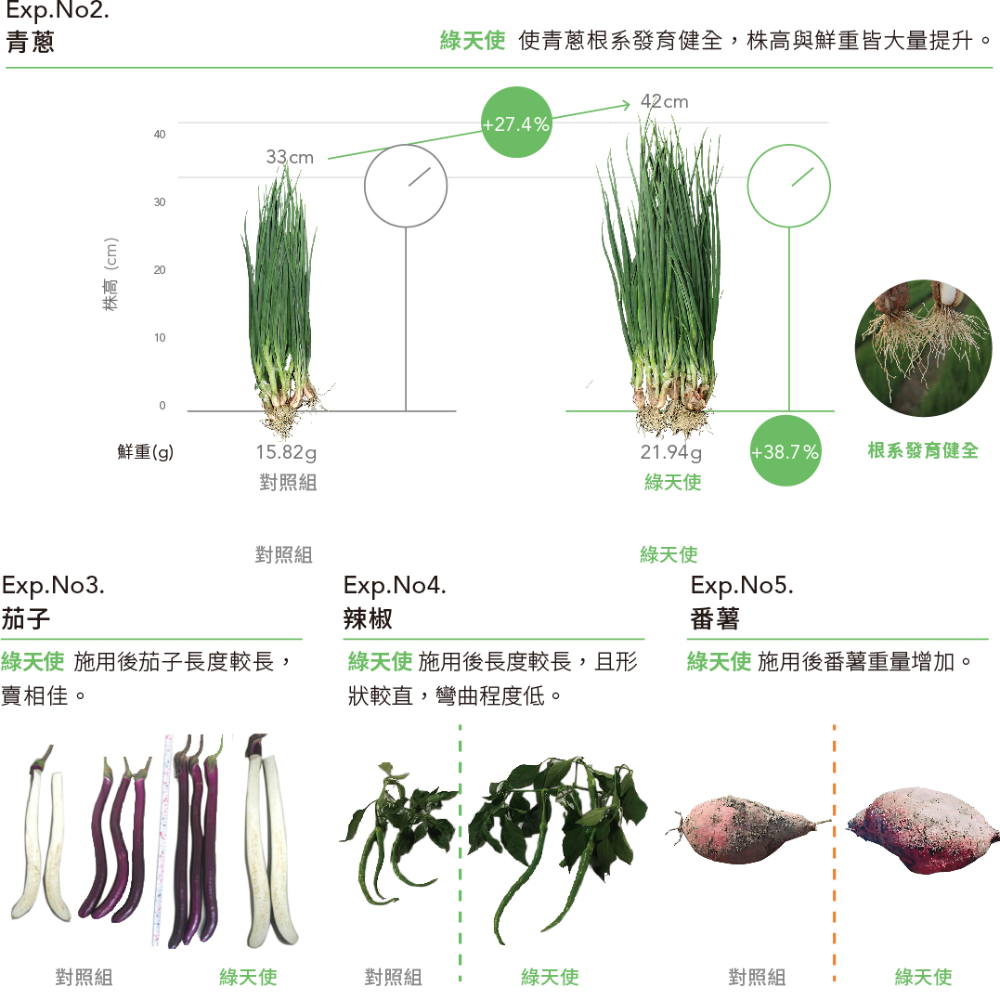 [Bingo賓購] 博堯生技-綠天使-液態有機質肥料1L-國產微生物肥料品牌推薦-有機質肥料-細節圖5