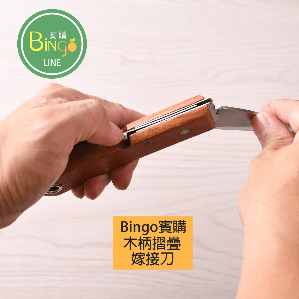 [Bingo-賓購] 現貨-園藝農業嫁接刀 無花果嫁接刀 果樹嫁接刀 露營摺疊刀 露營刀-細節圖4