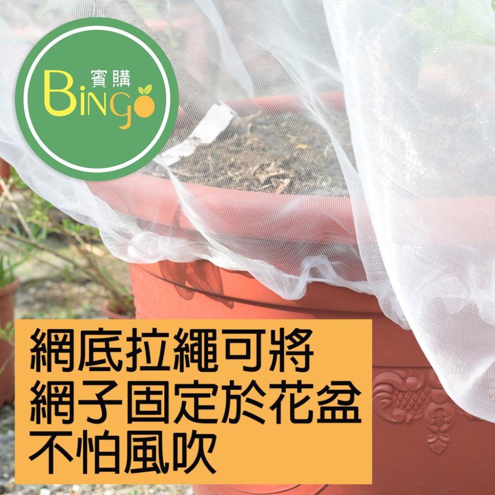 口碑No.1[Bingo賓購]尼龍帶拉鍊植物防蟲網罩(防鳥罩)、防蟲網、防鳥網、無花果樹網、盆栽果樹網、紗袋-細節圖2