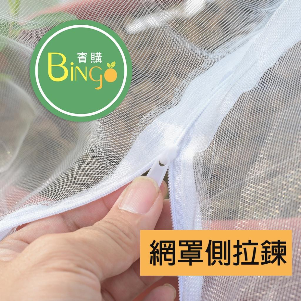 口碑No.1[Bingo賓購]尼龍帶拉鍊植物防蟲網罩(防鳥罩)、防蟲網、防鳥網、無花果樹網、盆栽果樹網、紗袋-細節圖4