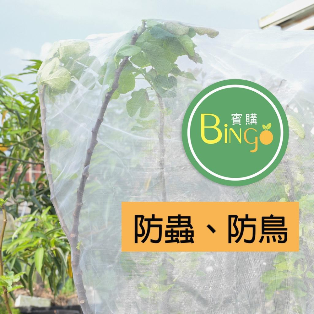 口碑No.1[Bingo賓購]尼龍帶拉鍊植物防蟲網罩(防鳥罩)、防蟲網、防鳥網、無花果樹網、盆栽果樹網、紗袋-細節圖5