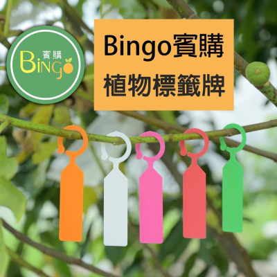 [Bingo賓購]加厚PVC防水標籤(10張)花卉植物標籤，園藝蘭花標籤，苗木標籤，無花果標籤，植物掛牌，植物辨識牌