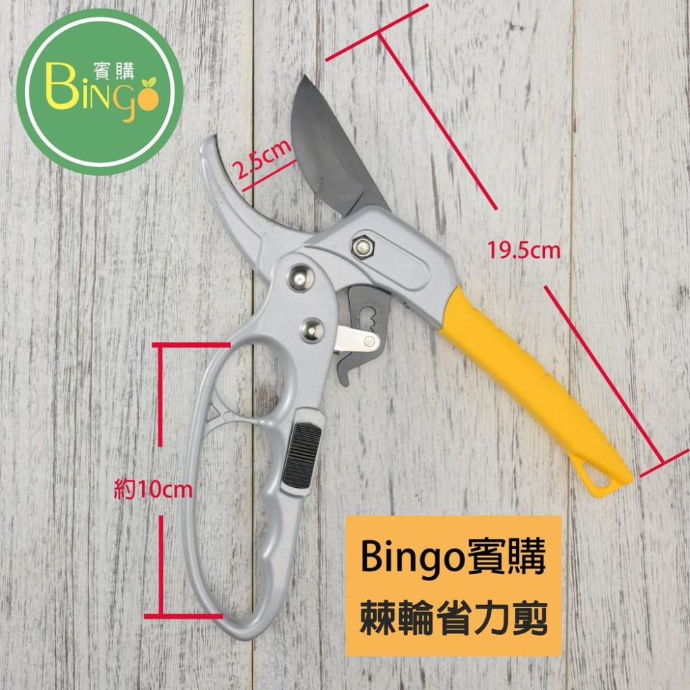 口碑No.1[Bingo-賓購]現貨-園藝棘輪省力剪、修枝剪、果樹剪-細節圖2