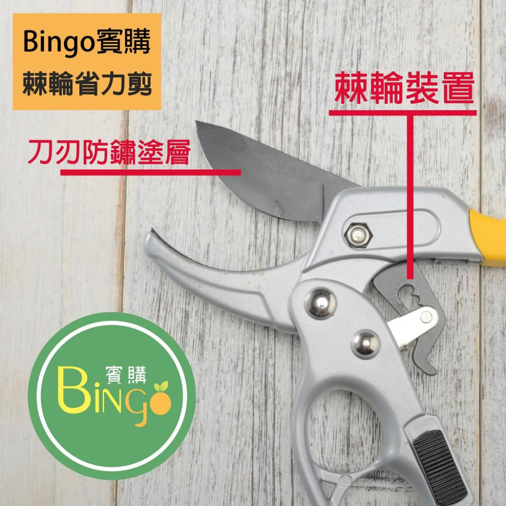 口碑No.1[Bingo-賓購]現貨-園藝棘輪省力剪、修枝剪、果樹剪-細節圖3