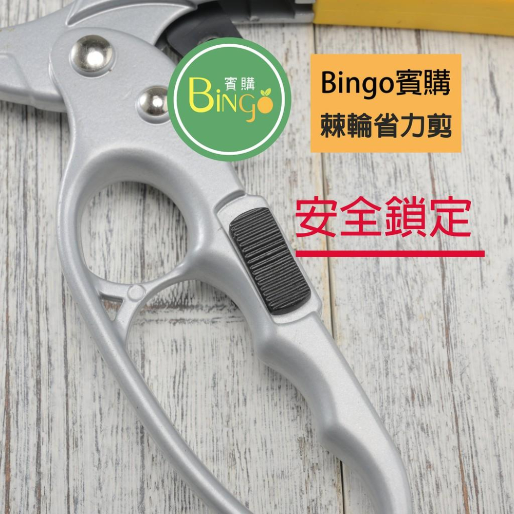 口碑No.1[Bingo-賓購]現貨-園藝棘輪省力剪、修枝剪、果樹剪-細節圖4