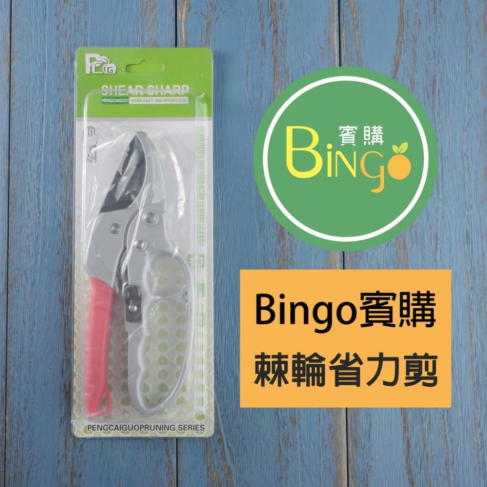 口碑No.1[Bingo-賓購]現貨-園藝棘輪省力剪、修枝剪、果樹剪-細節圖8