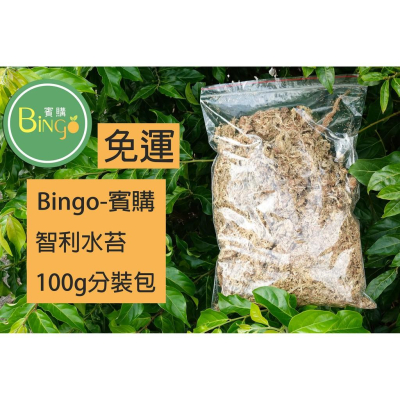 口碑No.1[Bingo賓購]智利水苔(智利水草) 100g小包裝 分裝包
