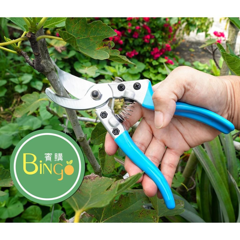 口碑No.1[Bingo-賓購] 現貨-園藝修枝剪、果樹剪、枝枒剪、花剪、園藝剪、採果剪 - 賓購園藝資材 - iOPEN Mall