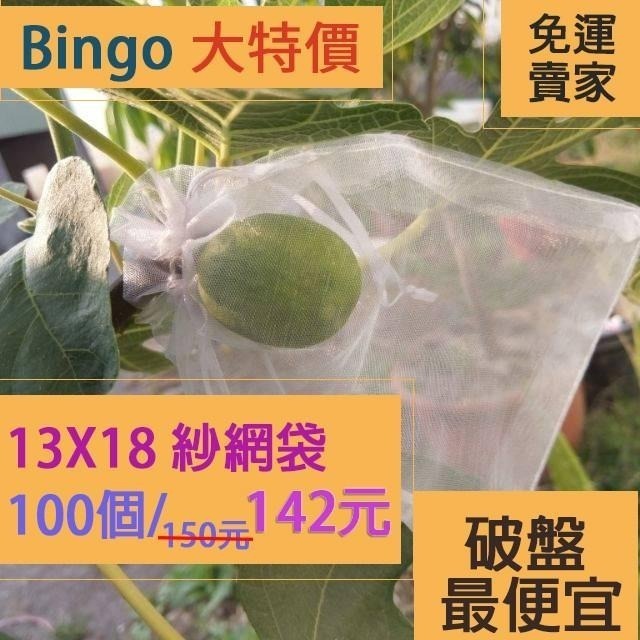 口碑No.1-[Bingo-賓購]13X18雪紗袋水果套袋 無花果套袋 百香果套袋 網袋 防蟲袋 雙拉繩-細節圖4