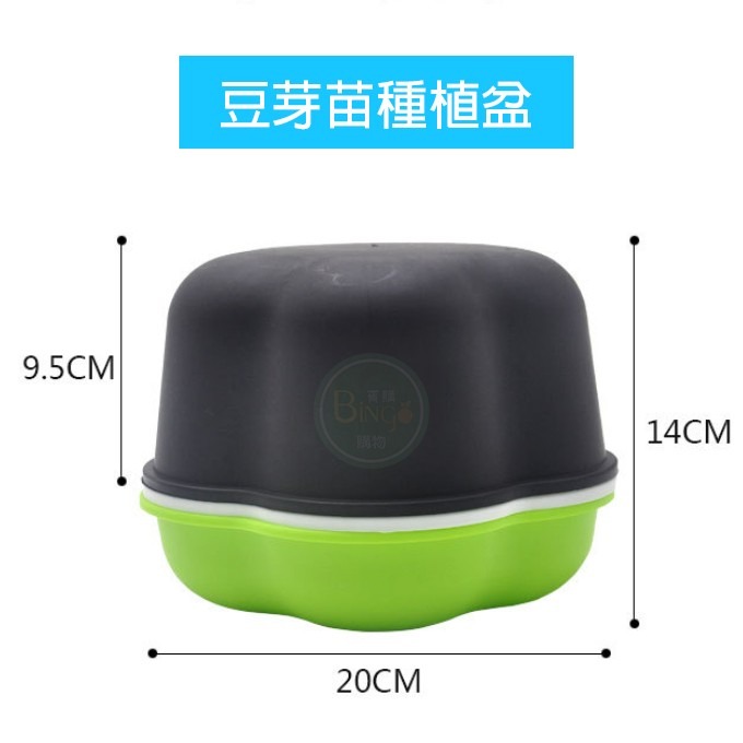 [Bingo-賓購]現貨豆芽種植盆、育苗盆、育苗箱、育苗器 園藝室內種植 栽培盒 栽培盤 綠豆芽 苜蓿芽-細節圖3
