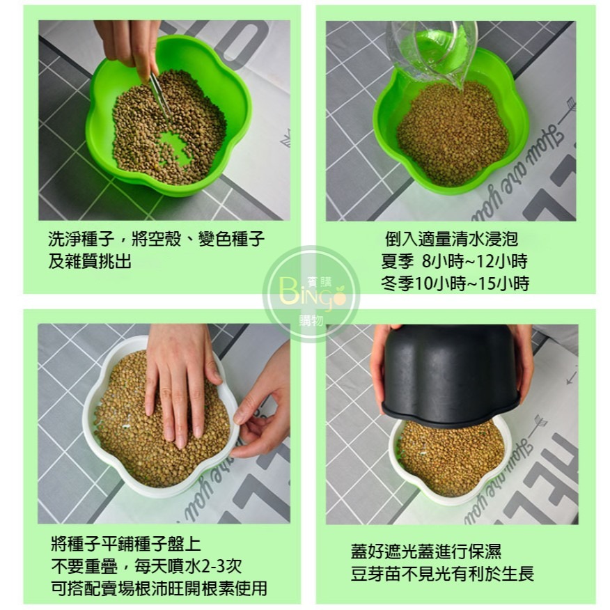 [Bingo-賓購]現貨豆芽種植盆、育苗盆、育苗箱、育苗器 園藝室內種植 栽培盒 栽培盤 綠豆芽 苜蓿芽-細節圖4