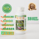 [Bingo賓購]新促花王 葉面肥 多肉 肥料 開花肥 植物肥 果樹肥 微量元素 觀葉植物 園藝 花卉 蘭花 催花-規格圖4