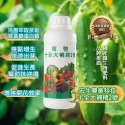 宏生農業生技 植物十全大補精2號 有機質 胺基酸 液態肥料 1KG 花果肥 植物生長 觀葉 多肉 果樹 種菜 抗逆境-規格圖4