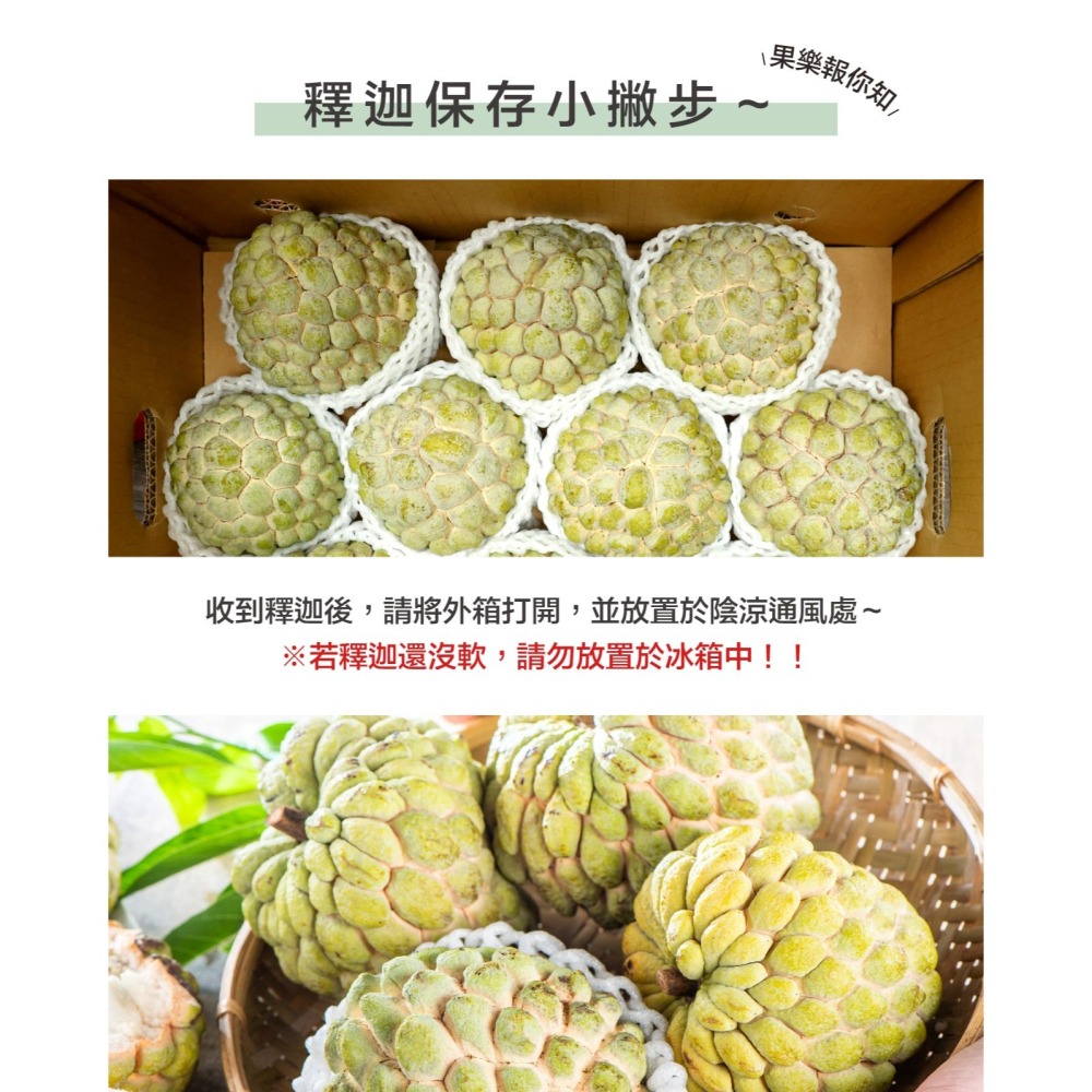 預購中【果樂釋迦專賣】大目釋迦大果/10斤一箱-細節圖5