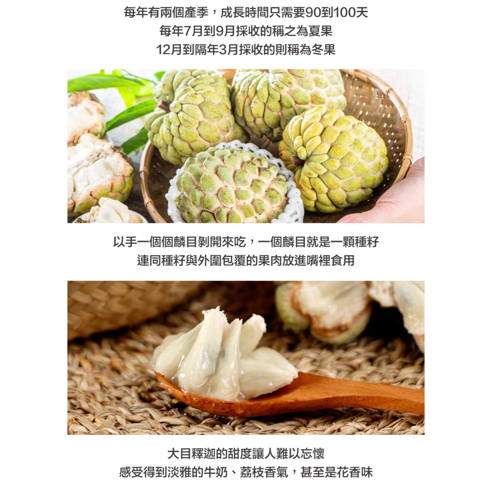 預購中【果樂釋迦專賣】大目釋迦中果/10斤一箱-細節圖4