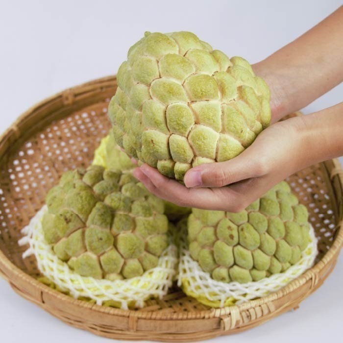 預購中【果樂釋迦專賣】大目釋迦大果/5斤一盒-細節圖2