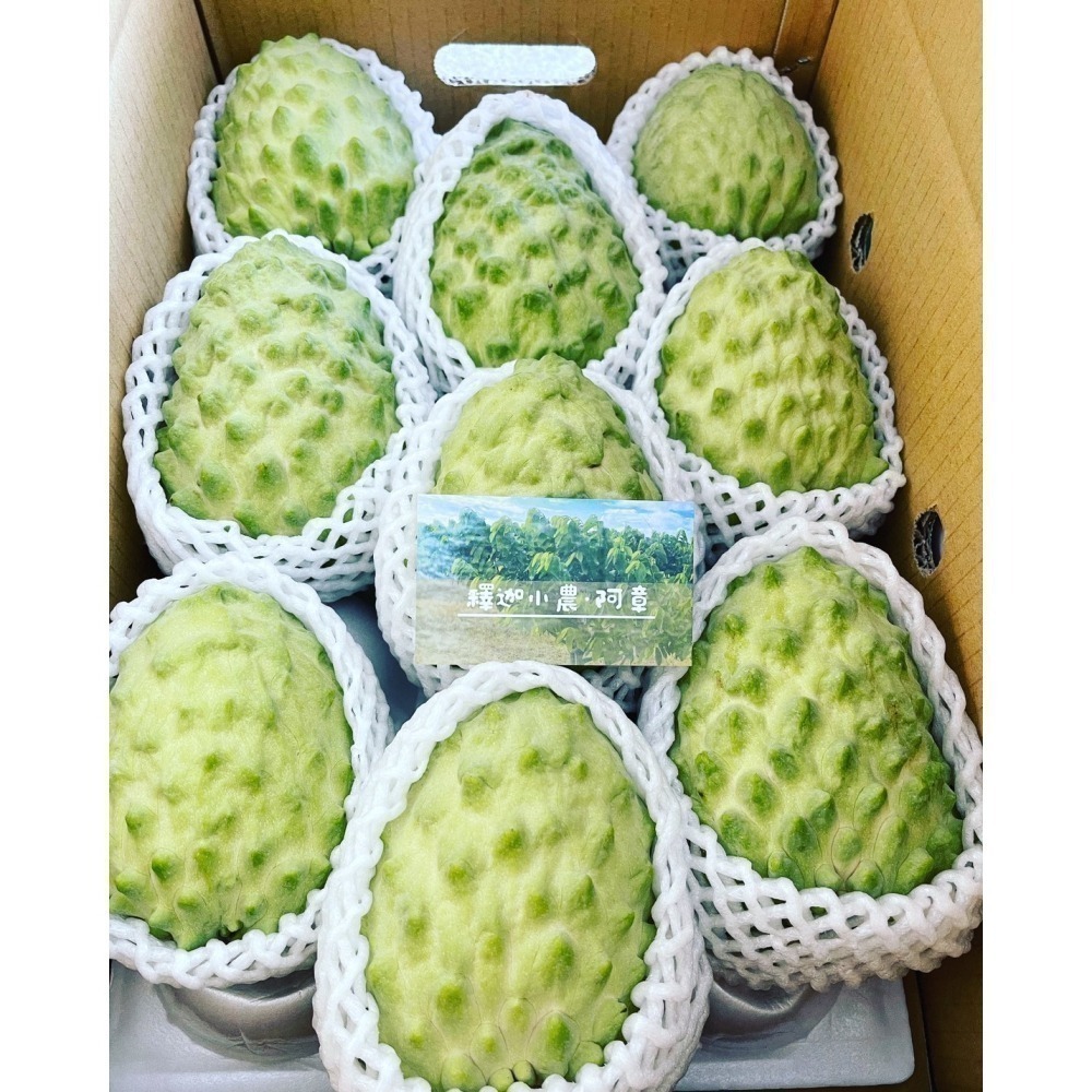 【果樂釋迦專賣】鳳梨釋迦/10斤一箱-細節圖2