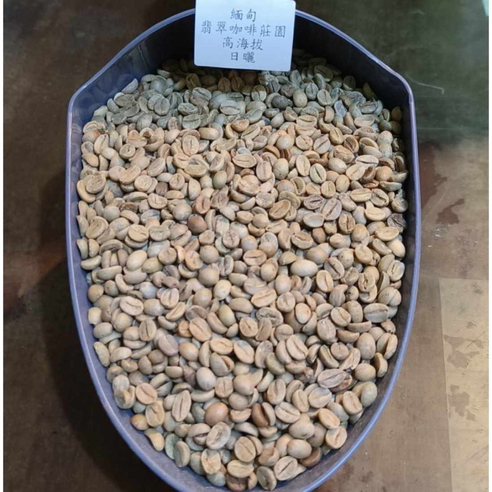 1kg生豆 緬甸 翡翠咖啡莊園 日曬／教邊咖啡莊園 水洗／黃蜜紅蜜-高海拔 世界咖啡生豆《咖啡生豆工廠》咖啡生豆 咖啡豆-細節圖2